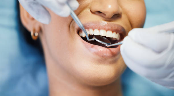 Best Emergency Dental Services for Seniors in Jacksboro, TN